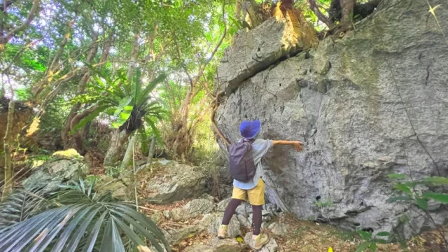 やんばる トレッキング リバートレッキング