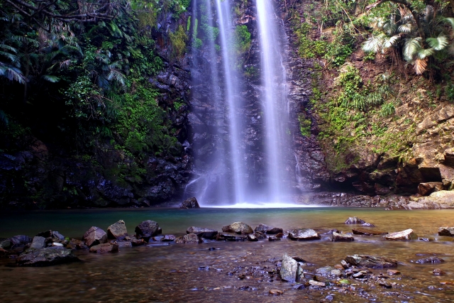沖縄　やんばる　ター滝