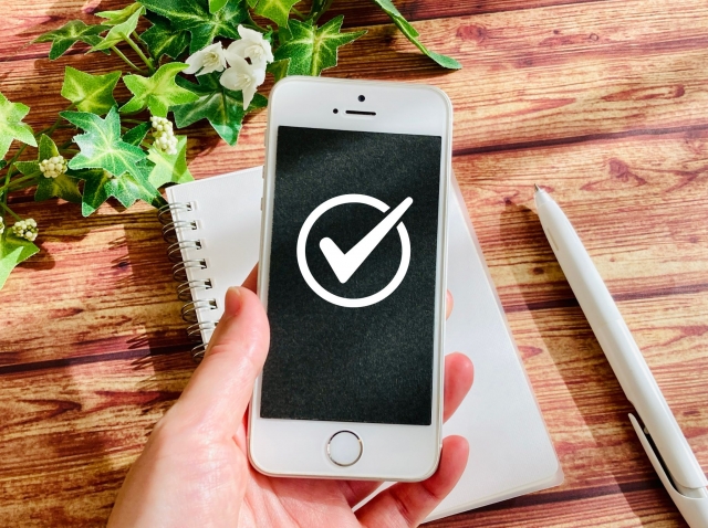 沖縄やんばる　スマホ　予約　チェック