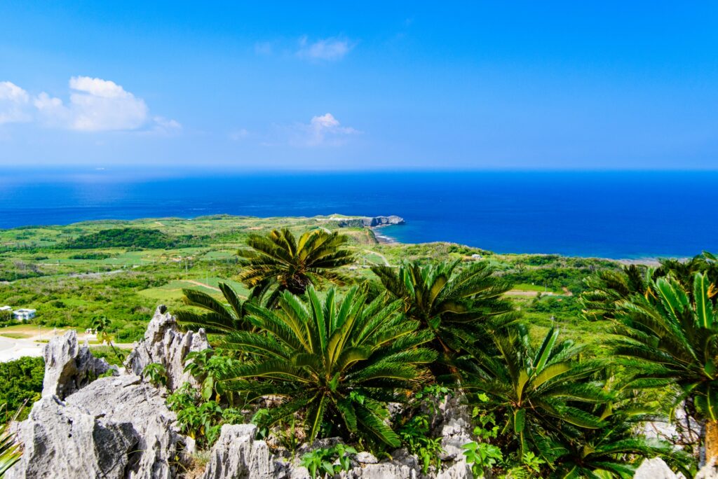 沖縄　やんばる　観光　大石林山から見る辺戸岬