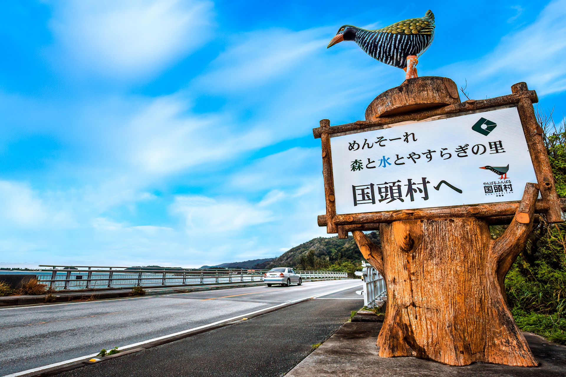 沖縄　やんばる　観光　国頭村
