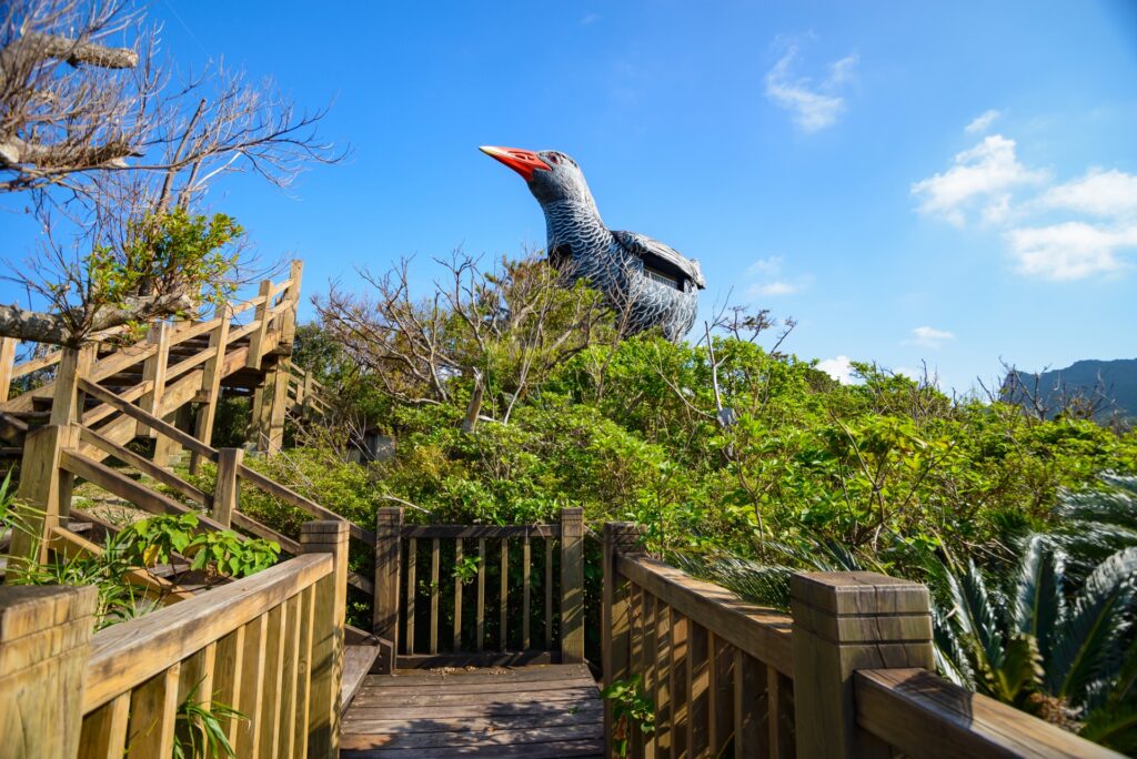 ヤンバルクイナ展望台