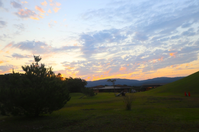 沖縄　やんばるの森　やんばる学びの森