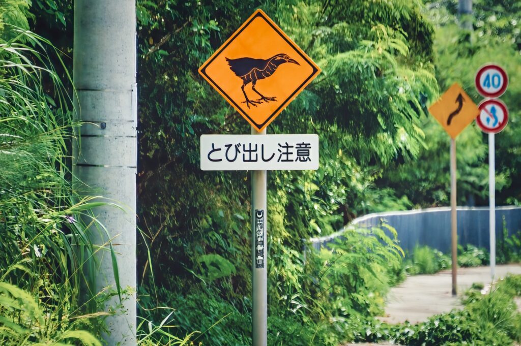 ヤンバルクイナ　飛び出し注意の標識