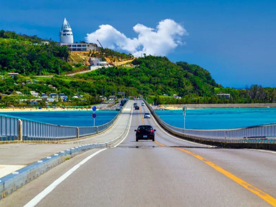 沖縄　やんばる　ドライブコース