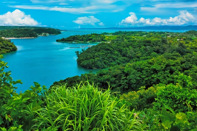 沖縄　やんばる