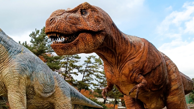 沖縄　やんばるの森　DINO恐竜PARK やんばる亜熱帯の森