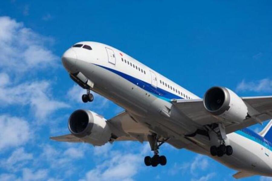 沖縄　やんばる　飛行機 