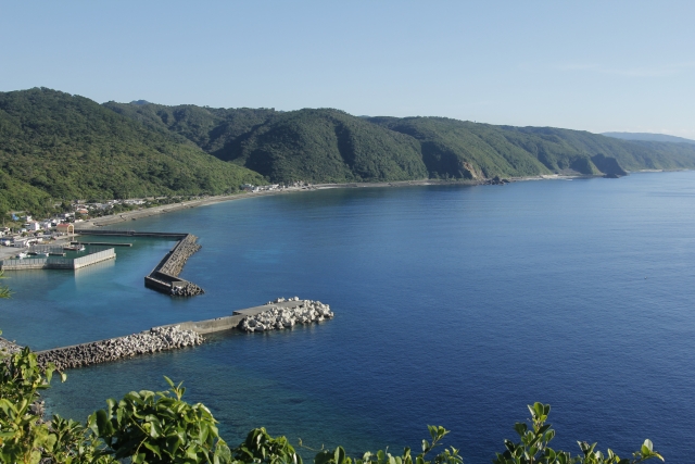沖縄　やんばるの森　茅打バンタ