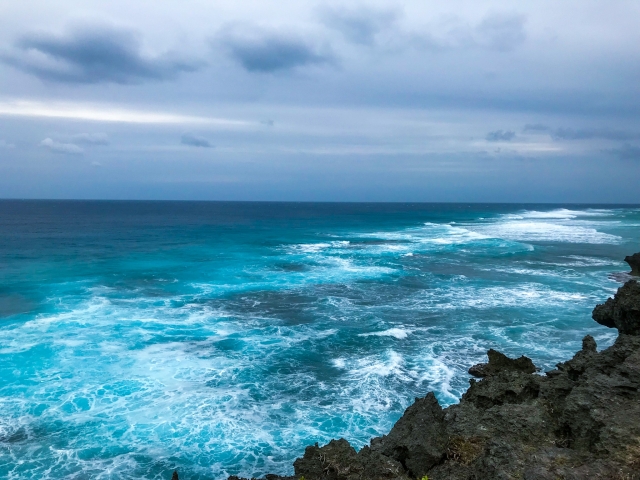 沖縄　やんばる　台風