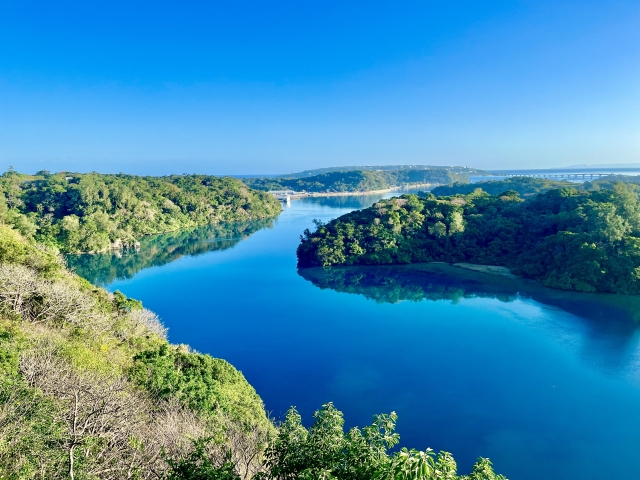 沖縄　やんばるの森　やんばるの森と海