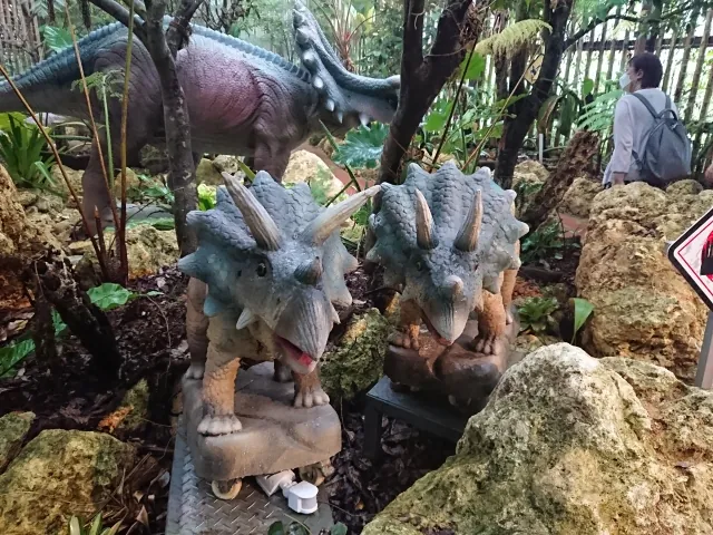 沖縄　恐竜