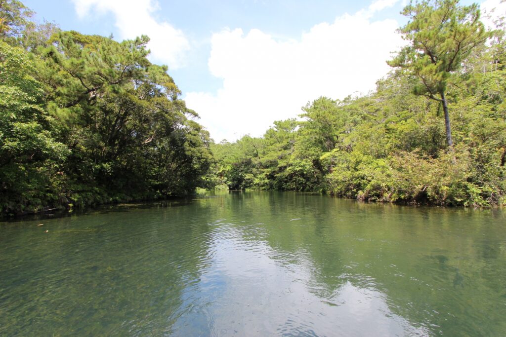 沖縄　ビオスの丘