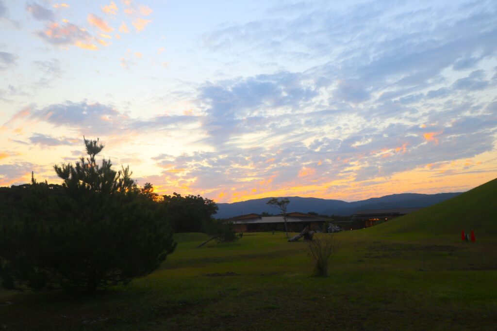 沖縄　やんばる　学びの森