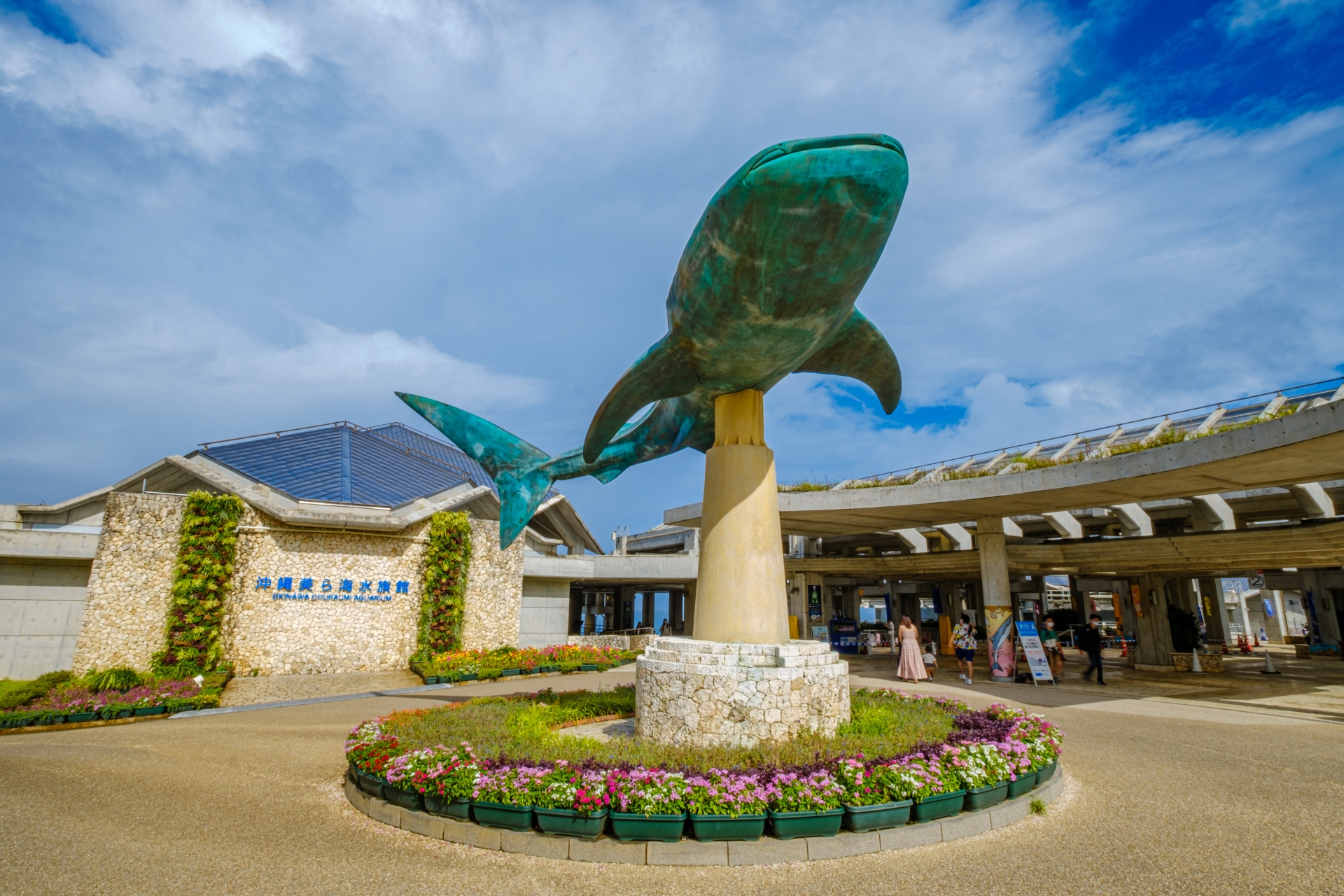 美ら海水族館