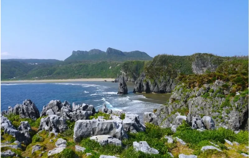 やんばる　散策ツアー　やんばるツアー