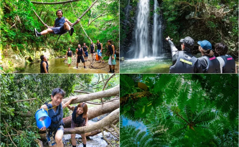 やんばる ター滝 やんばる清流 リバートレッキング