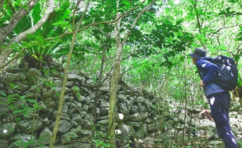 やんばる　トレッキング　リバートレッキング