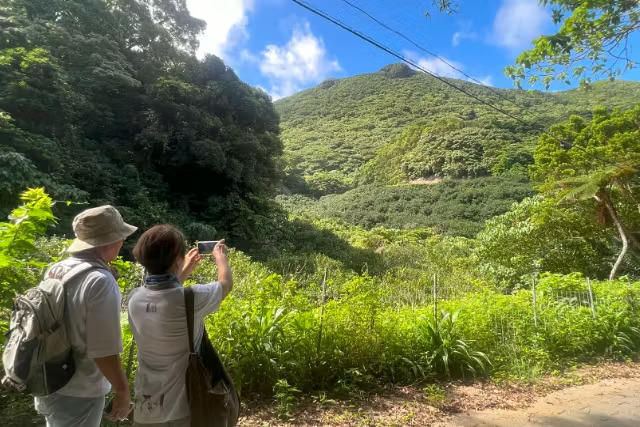 やんばる　トレッキング　森