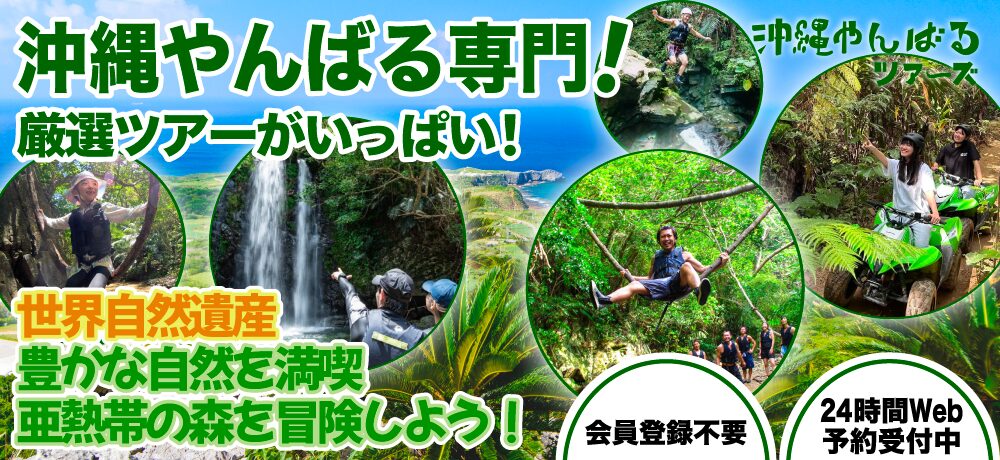 沖縄やんばるTOP_pc