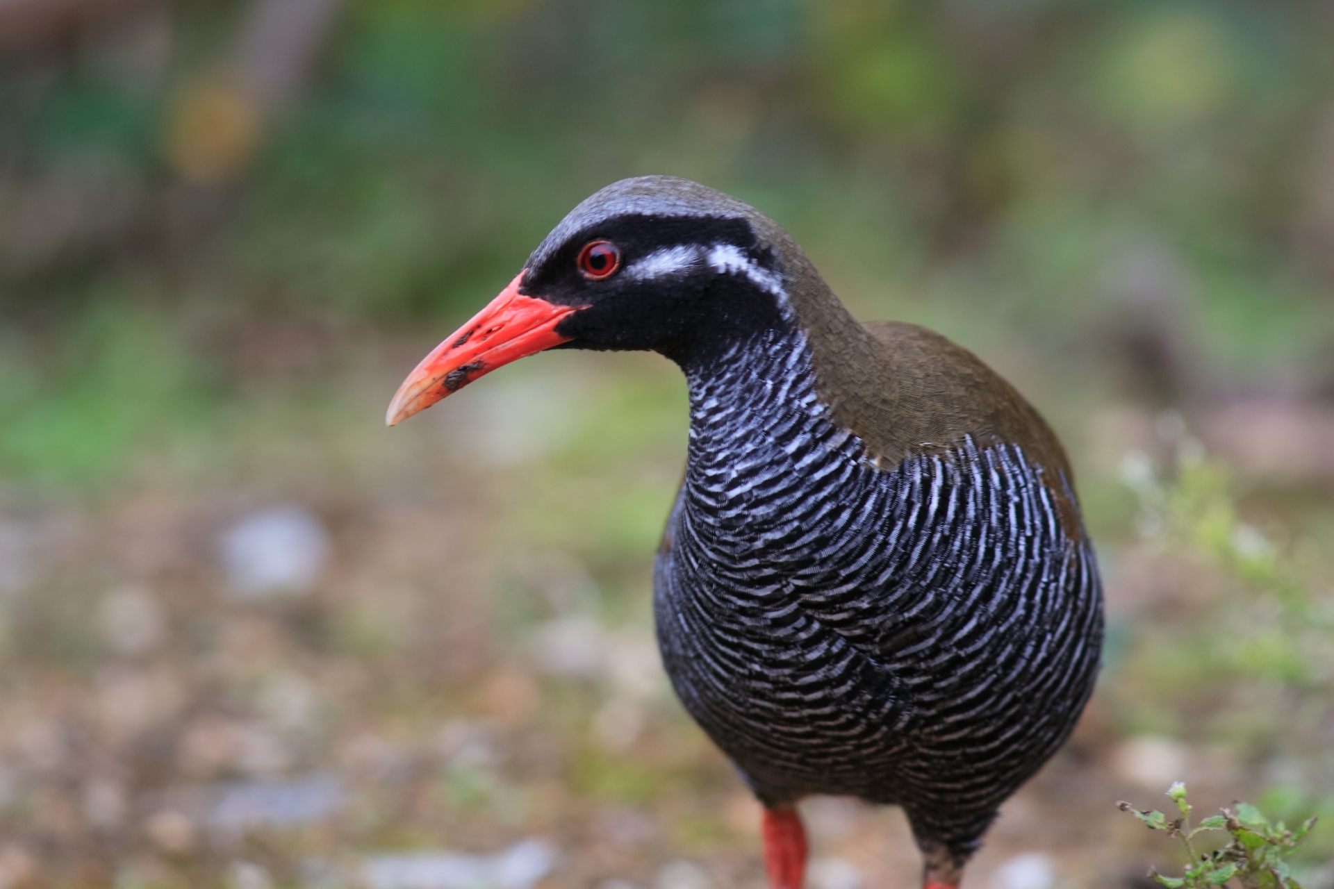 ハンドルのアイコン