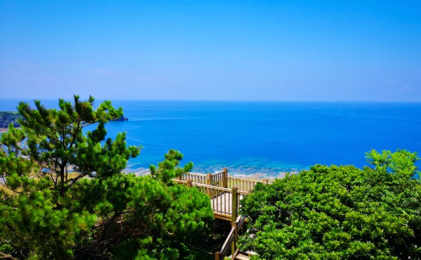 ヤンバルクイナ展望台からの景色