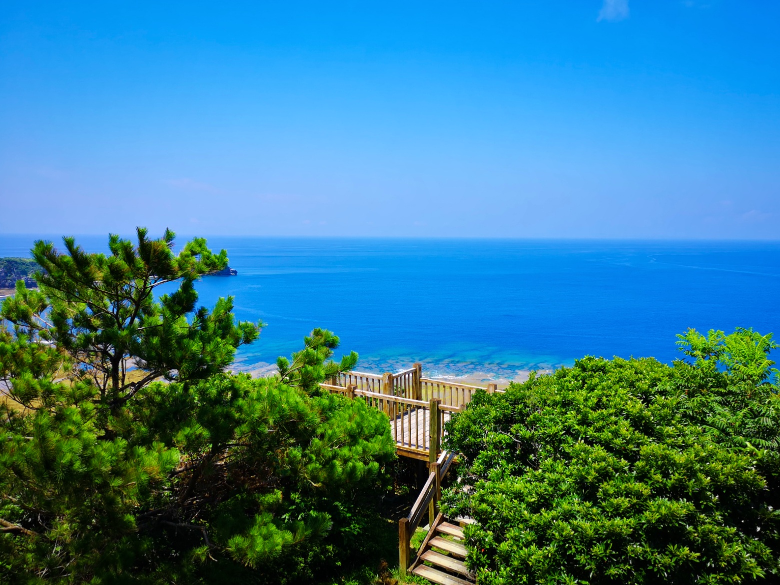 ヤンバルクイナ展望台からの景色